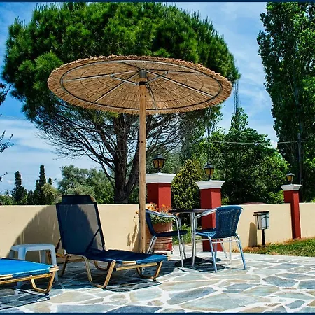 Sunshine * סידריון