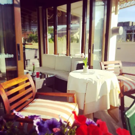 Sunshine * סידריון